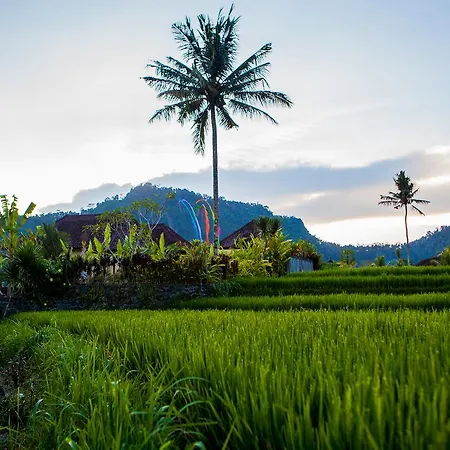 Pelangi Villas Sidemen By Agata