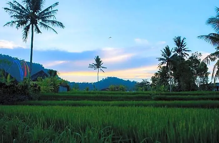 Vakantiepark Pelangi By Agata 4*
