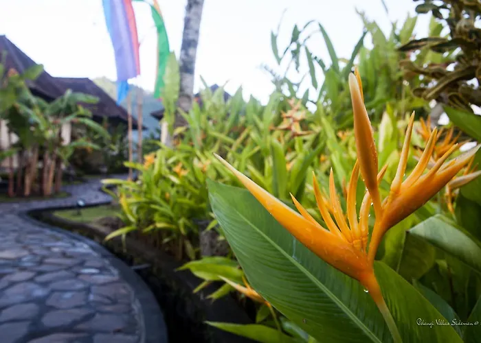 Vakantiepark Pelangi By Agata